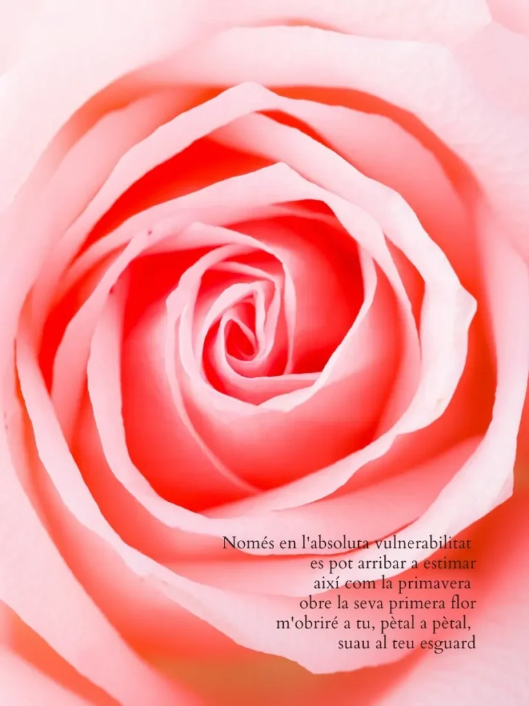Poema visual sobre pètals de rosa en primer pla, amb missatge femení i espiritual vinculat al massatge tàntric per a dones.
Poema visual sobre pétalos de rosa en primer plano, con mensaje femenino y espiritual vinculado al masaje tántrico para mujeres.